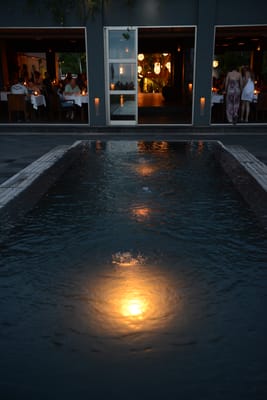 DSC_6478.JPG