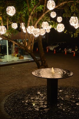 DSC_6482.JPG
