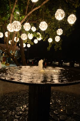 DSC_6483.JPG
