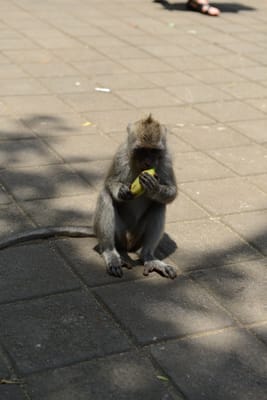 DSC_6415.JPG