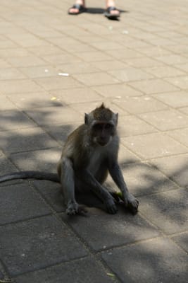 DSC_6416.JPG