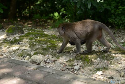 DSC_6421.JPG