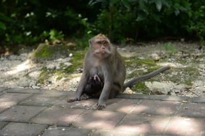 DSC_6422.JPG