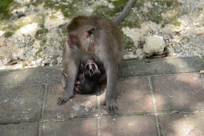 DSC_6423.JPG
