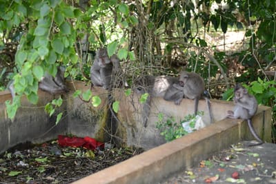 DSC_6427.JPG