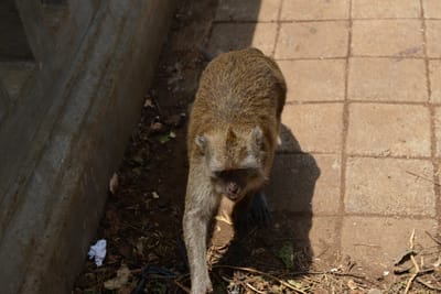 DSC_6440.JPG