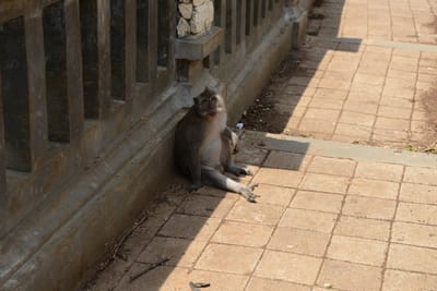DSC_6441.JPG