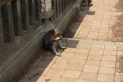 DSC_6442.JPG