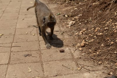 DSC_6443.JPG