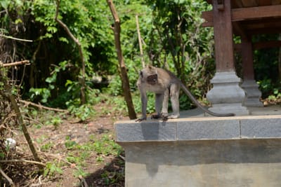 DSC_6444.JPG