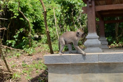 DSC_6445.JPG