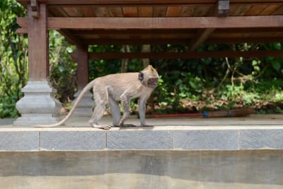 DSC_6446.JPG