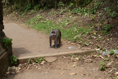 DSC_6449.JPG