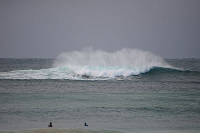 e DSC_1652.jpg