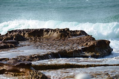 e DSC_1814.jpg