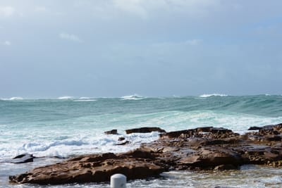 e DSC_1815.jpg