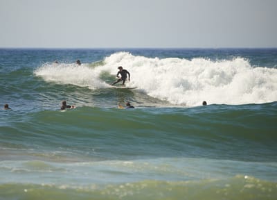 e DSC_7543.jpg