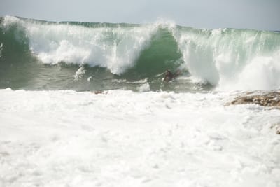 e DSC_7725.jpg