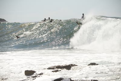 e DSC_7731.jpg