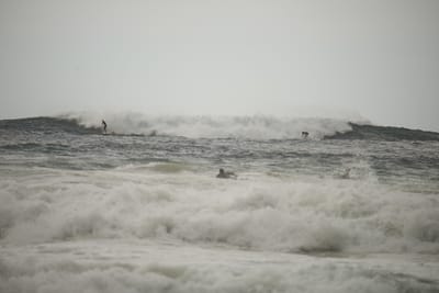 e DSC_7915.jpg