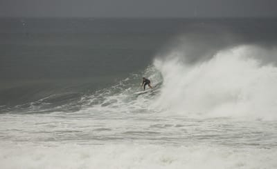 e DSC_7966.jpg