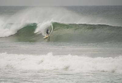 e DSC_7972.jpg