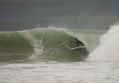 e DSC_7980.jpg