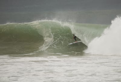e DSC_7981.jpg