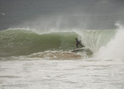 e DSC_7984.jpg