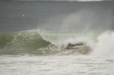e DSC_7985.jpg
