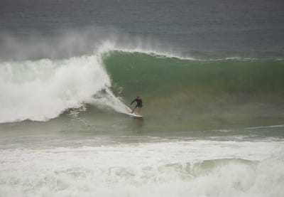 e DSC_7986.jpg