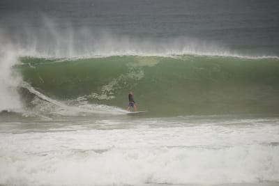e DSC_7989.jpg