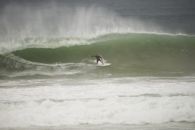 e DSC_7992.jpg
