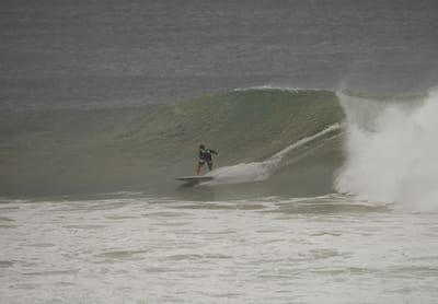 e DSC_8000.jpg