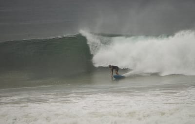 e DSC_8005.jpg