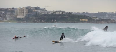 e DSC_1900.jpg