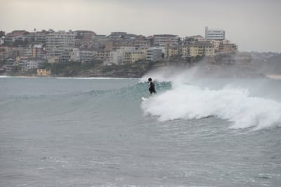 e DSC_1907.jpg