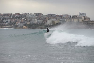 e DSC_1908.jpg