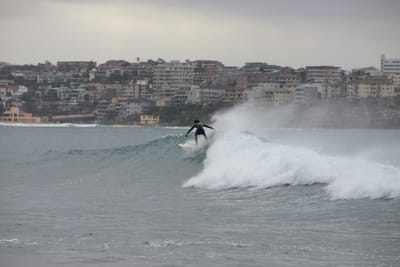 e DSC_1909.jpg