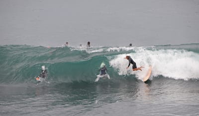 e DSC_2000.jpg