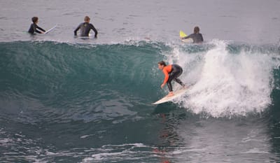 e DSC_2145.jpg