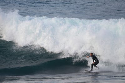 e DSC_2186.jpg