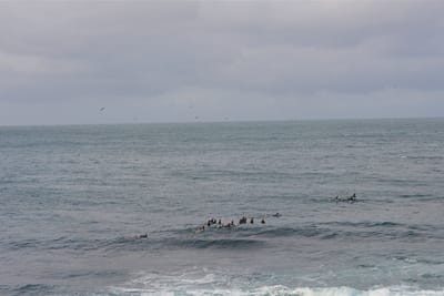 e DSC_2202.jpg