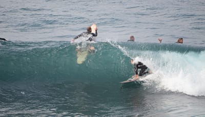 e DSC_2208.jpg
