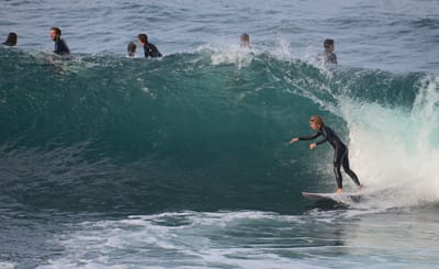 e DSC_2269.jpg