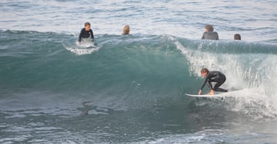e DSC_2313.jpg