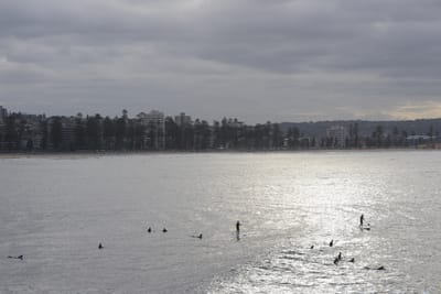 e DSC_2319.jpg