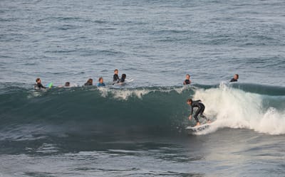 e DSC_2333.jpg