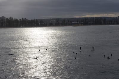 e DSC_2339.jpg