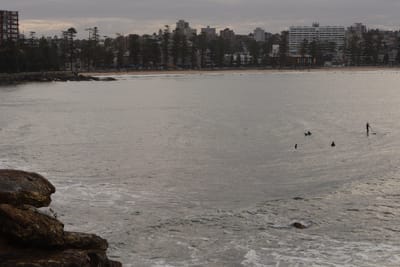 e DSC_2359.jpg